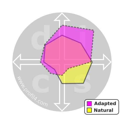 DISC wheel
