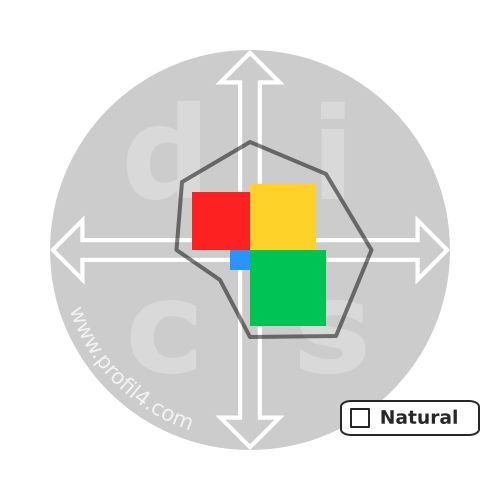 DISC wheel