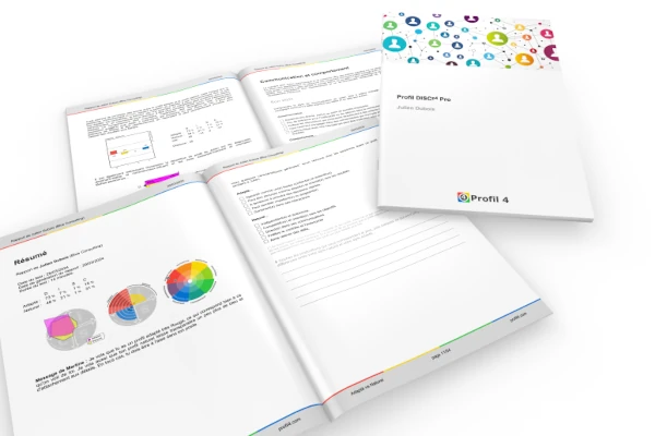 Mockup 3D Rapport DISC Pro