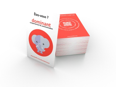 Pack 10 sets of 4 cards animal (fr)