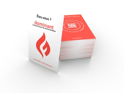 Pack of 10 sets of 4 shape cards (fr)
