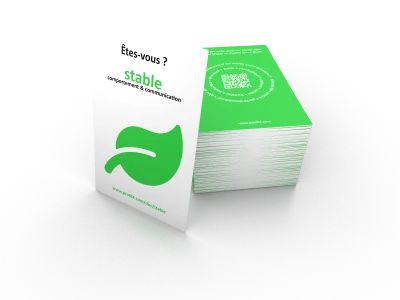 Pack of 10 sets of 4 shape cards (fr)