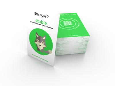 Pack 10 sets of 4 cards animal (fr)